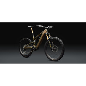 Nunc congue dui nec...