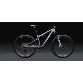 Nunc congue dui nec...